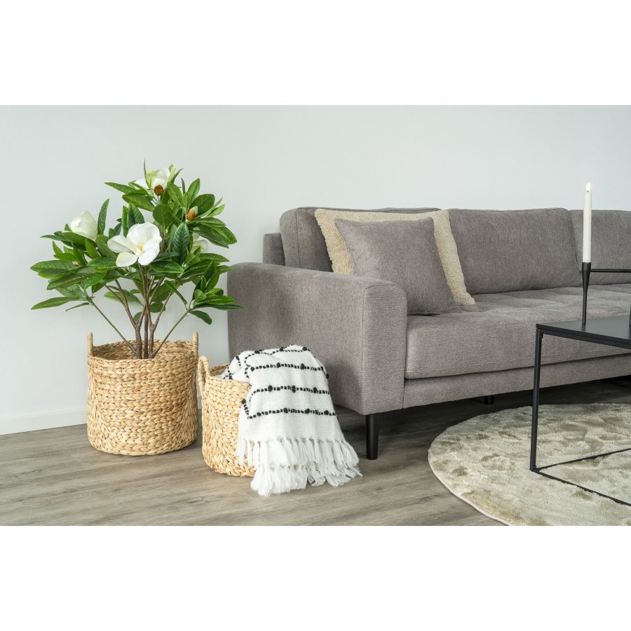 HOUSE NORDIC Passo-kurv - Kurv, vannhyasint, natur, sett med 2