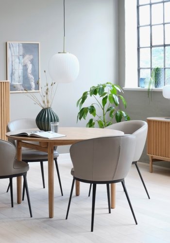 Carno sk�nk, m. 2 skydel�ger, 2 hylder, 1 skuffe - natur egefin�r og egetr�
