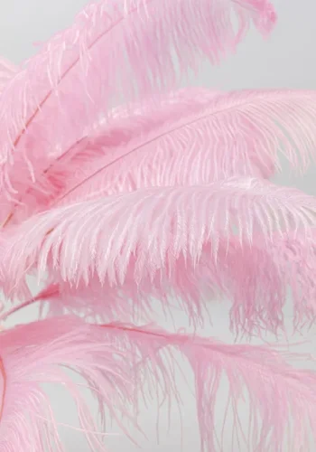 KARE DESIGN Feather Palm gulvlampe - lyserd strudsefjer og messing stl