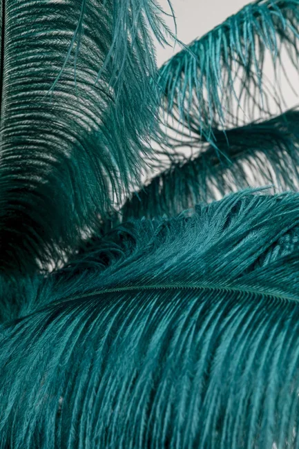 KARE DESIGN Feather Palm gulvlampe - grn strudsefjer og messing stl