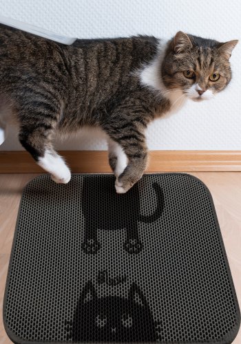 TEPPI Bounce kattebakkemtte, rektangulr - multifarvet PVC og polyester (45x60)