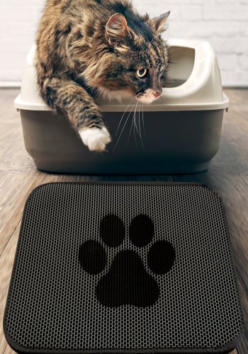 TEPPI Cat kattebakkemtte, rektangulr - multifarvet PVC og polyester (45x60)