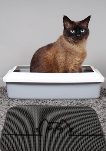 TEPPI Cat kattsandlda matta, rektangulär - flerfärgad PVC och polyester (45x60)