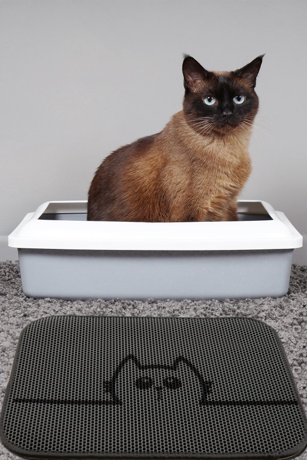 TEPPI Cat kattsandlda matta, rektangulär - flerfärgad PVC och polyester (45x60)