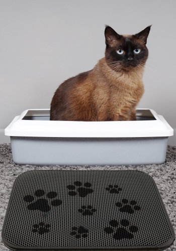 
TEPPI Cat Litter Mat Trace kattebakkemåtte - rektangulær, multifarget PVC og polyester
