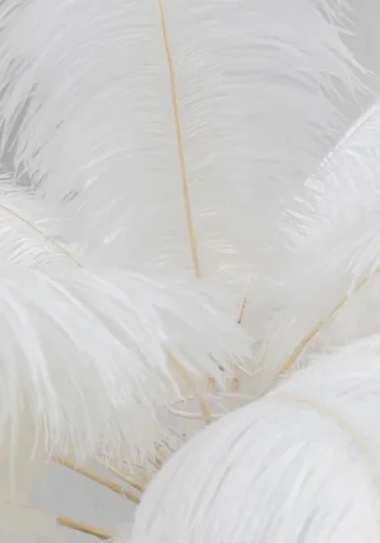 KARE DESIGN Feather Palm gulvlampe - hvit strutsefjr og messingstl