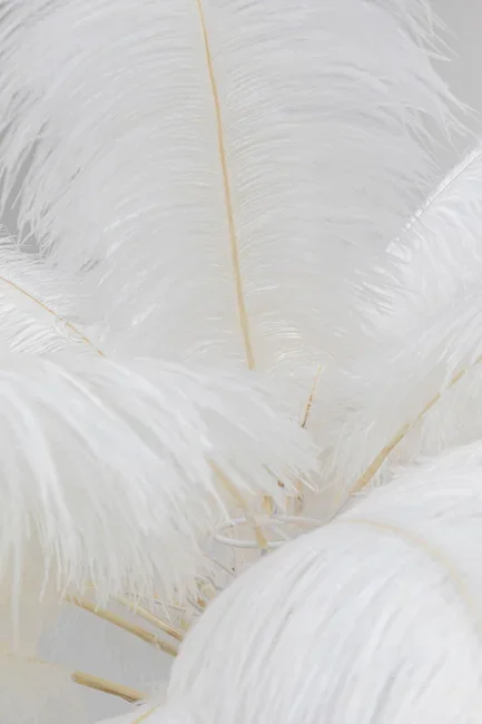 KARE DESIGN Feather Palm gulvlampe - hvit strutsefjr og messingstl