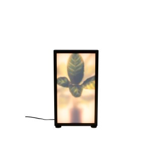 ZUIVER Grow M golvlampa - glas och svart trä