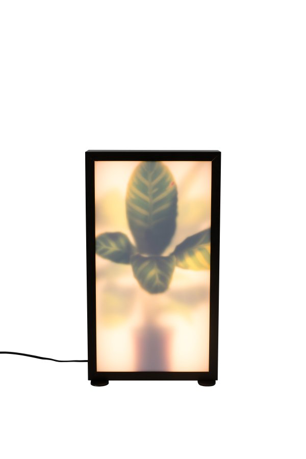 ZUIVER Grow M gulvlampe - glass og sort tre