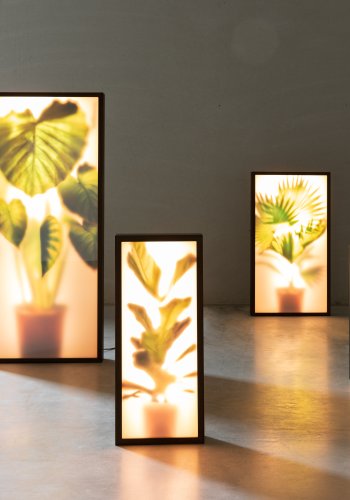 ZUIVER Grow M gulvlampe - glass og sort tre