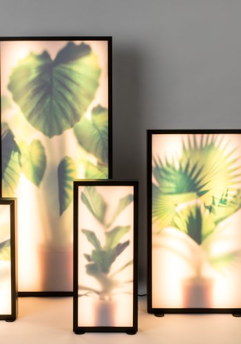 ZUIVER Grow XL gulvlampe - glass og sort tre