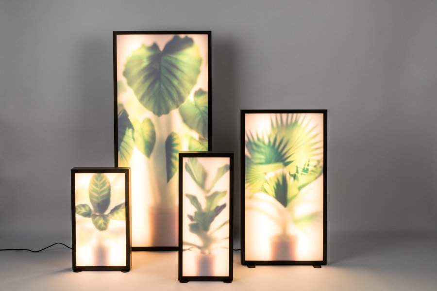 ZUIVER Grow XL gulvlampe - glass og sort tre