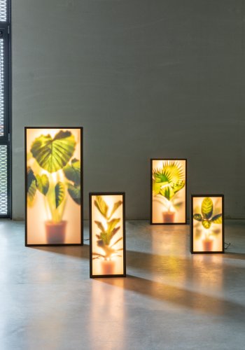 ZUIVER Grow XL gulvlampe - glass og sort tre