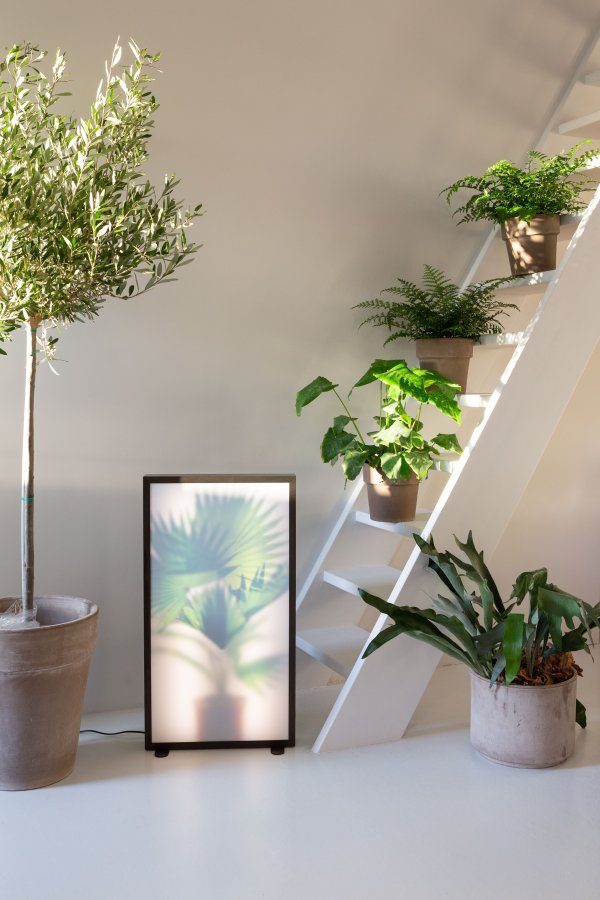 ZUIVER Grow XL gulvlampe - glass og sort tre