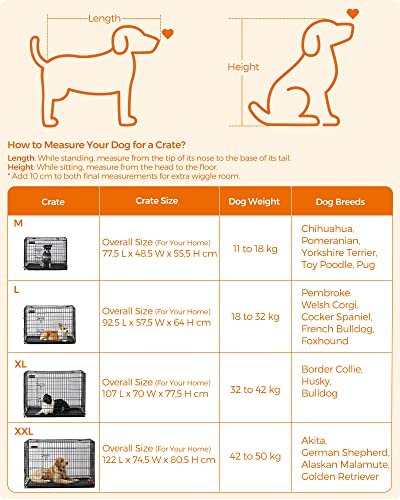 FEANDREA hundeboks, sammenleggbar, med hndtak og 2 drer - svart jern
