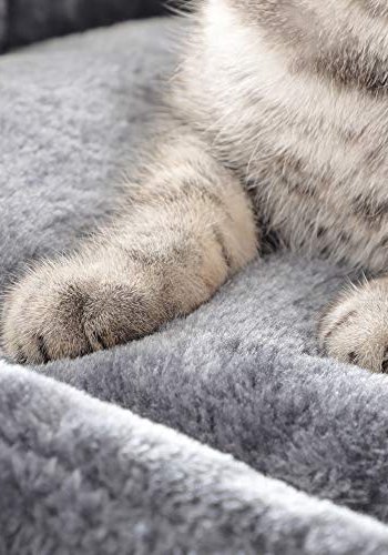 FEANDREA skrapestolpe, 5 niver, 2 plattformer, 2 huler, 2 pom-poms, 1 kurv - rykgr plysj