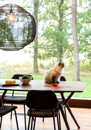 DUTCHBONE anheng Meezan Black Xl