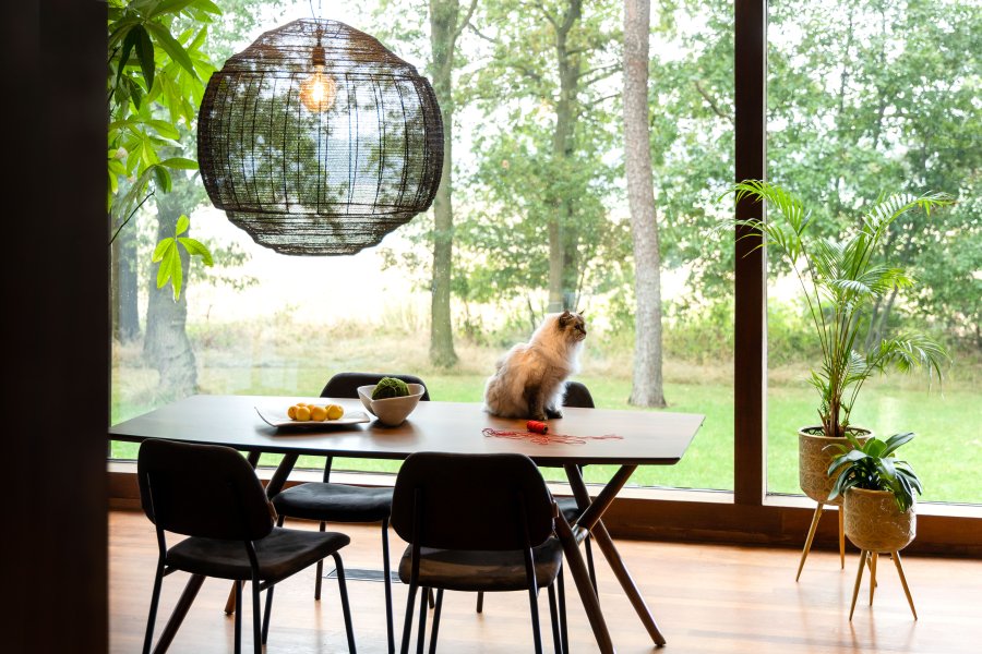 DUTCHBONE anheng Meezan Black Xl