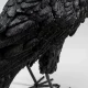 KARE DESIGN Animal Crow bordlampe - matt sort polyresin og kobber aluminium