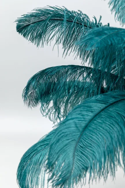 KARE DESIGN Feather Palm bordlampe - grn strudsefjer og messing stl