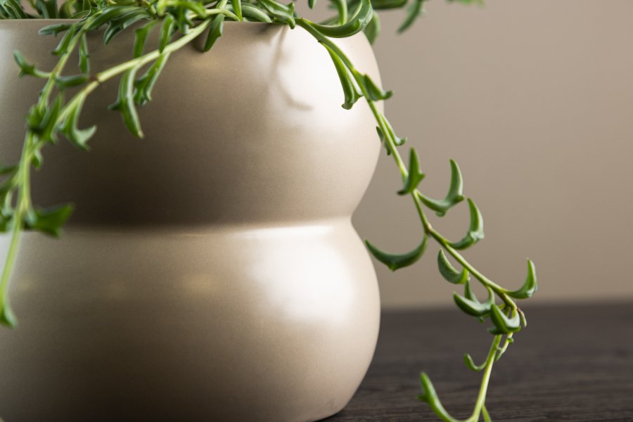 VENTURE DESIGN Dapne Topf, rund – mattbeiges Steingut (16x16x13)