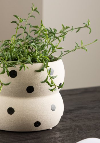 VENTURE DESIGN Dapne potte, rund - hvite/svarte prikker steinty (16x16x13)