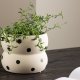 VENTURE DESIGN Dapne potte, rund - hvite/svarte prikker steinty (16x16x13)
