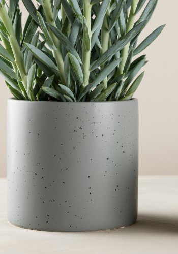 VENTURE DESIGN Sane potte, rund - mrkegr/svarte prikker steinty (18x18x17)