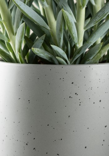 VENTURE DESIGN Sane potte, rund - mrkegr/svarte prikker steinty (18x18x17)