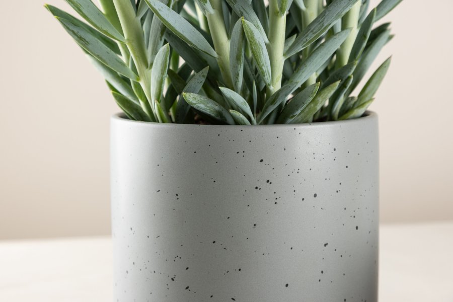 VENTURE DESIGN Sane potte, rund - mrkegr/svarte prikker steinty (18x18x17)