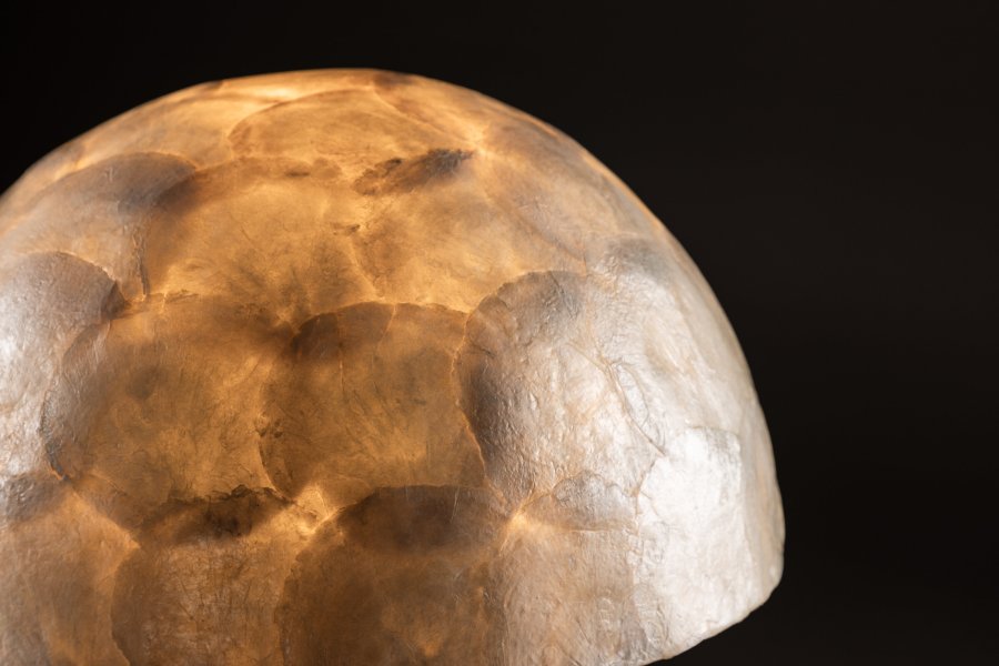 VIND KOLLEKSJON Lindön bordlampe - lys gr capiz