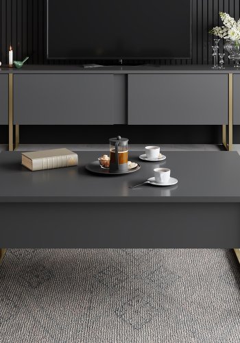 NORDVÄRK Luxe TV-Ständer mit Türen - anthrazitgraues Melamin und goldenes Metall (180x30)