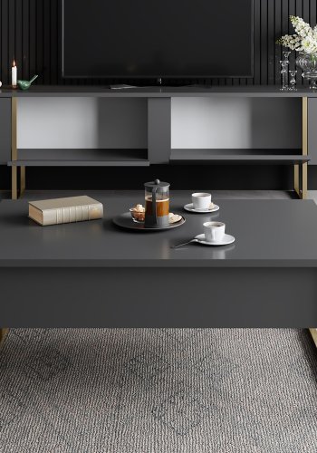 NORDVÄRK Luxe TV-Ständer mit Türen - anthrazitgraues Melamin und goldenes Metall (180x30)