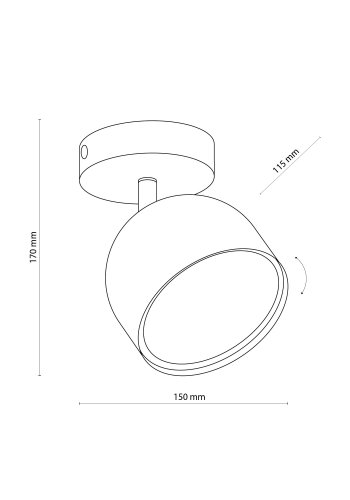 TK Altea taklampa spot, inkl. glödlampa - svart stl och krom