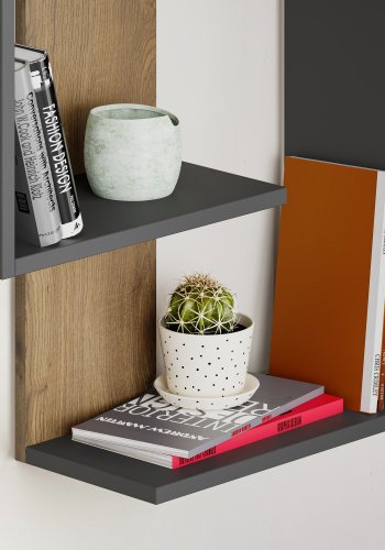 FUNZI LIVING Paranoid vegghylle - antrasittgr og mrk eikemelamin