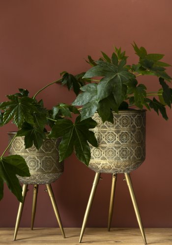 DUTCHBONE Botanisk blomsterpotteskjuler L - messingjern