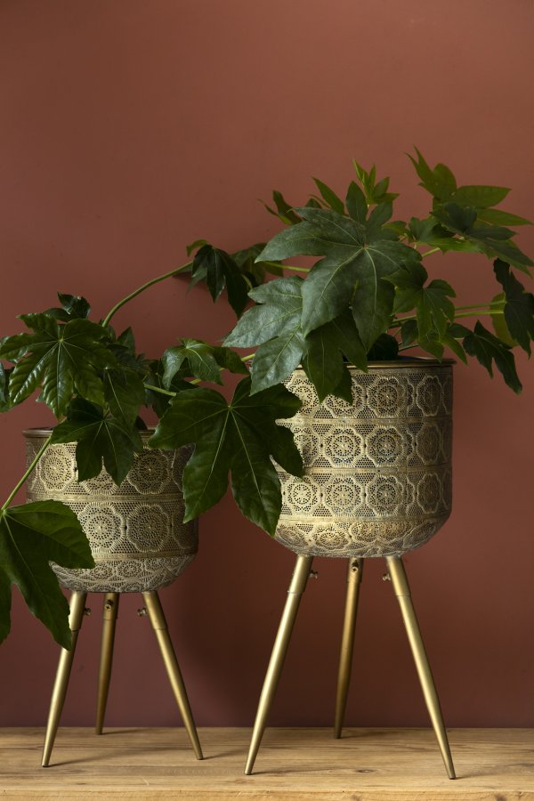 DUTCHBONE Botanisk blomsterpotteskjuler L - messingjern