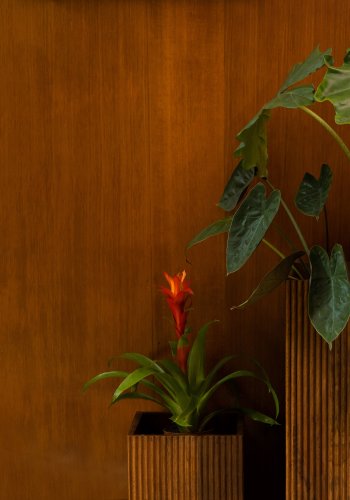 DUTCHBONE Ribble Square Planter Planter - Walnut Mango Wood (sett med 2)