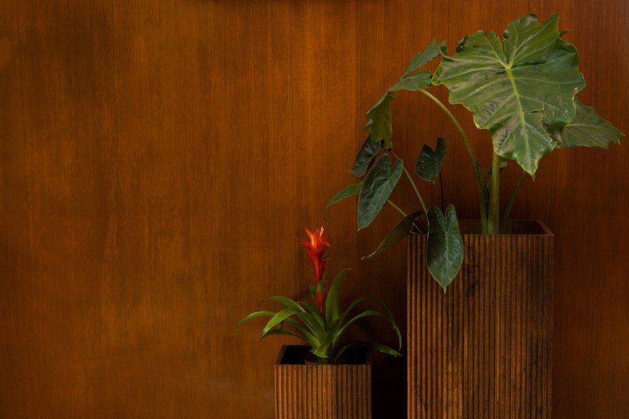 DUTCHBONE Ribble Square Planter Planter - Walnut Mango Wood (sett med 2)