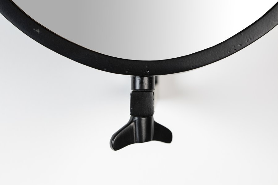 WHITE LABEL LIVING Lara veggspeil, ovalt - speilglass og svart jern (48x34)