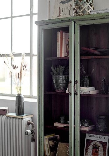 CREATIVE COLLECTION Schrank mit 2 Türen und 3 Regalen - Glas und grüne Kiefer