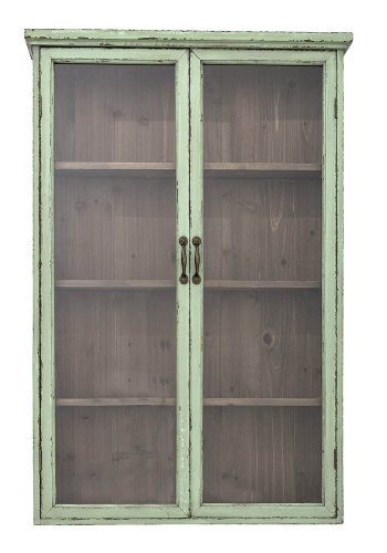 CREATIVE COLLECTION Schrank mit 2 Türen und 3 Regalen - Glas und grüne Kiefer
