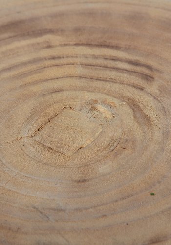 TRE Bikkel krakk, rund - naturlig paulownia-tre (28)