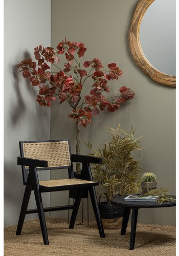 WOOOD EKSKLUSIV Gunn spisebordstol, m. armlener - naturrotting og sort furu