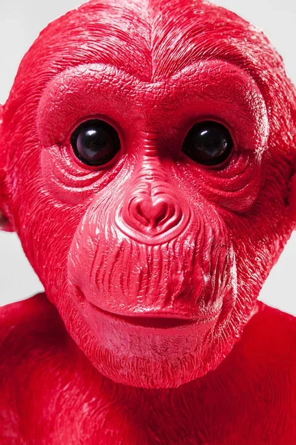 KARE DESIGN Monkey Kikazaru sparebsse - rd polyresin (H:35)