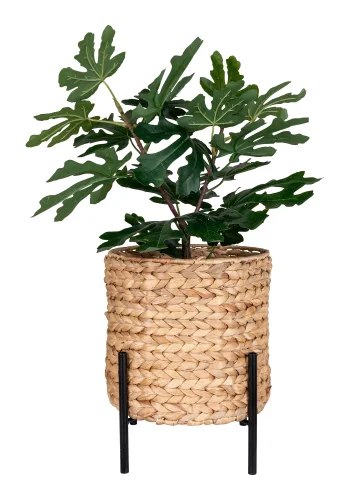 HOUSE NORDIC Antas plantetilfluktsrom, rund - naturlig vannhyasint og svart metall (26,5)