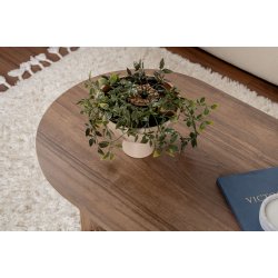 NORDV�RK Sable sofabord, oval - valn�dfarvet melamin (119x60) -  NORDV�RK