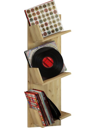 Sulda LP vghylde, m. plads til 100 LP-er - natur tr