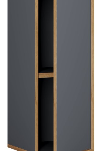 VCM NORDIC Salia B30 Büroregal, mit 1 Tür und 1 verstellbarem Boden - Anthrazitgrau und Naturholz