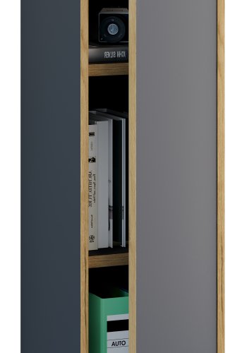 VCM NORDIC Salia B30 Büroregal, mit 1 Tür und 2 verstellbaren Böden - Anthrazitgrau und Naturholz